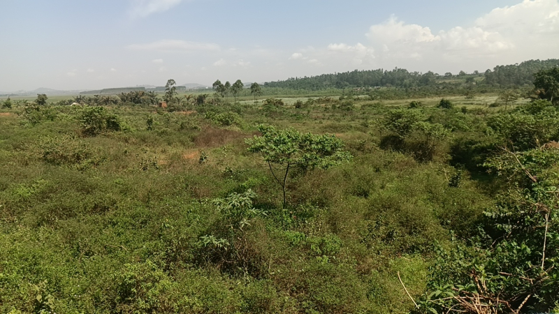 Part of the land earmarked for the expansion of the existing garbage dump.